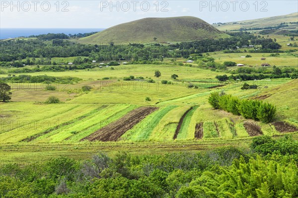 View over Easter Island from the Puna Pau crater