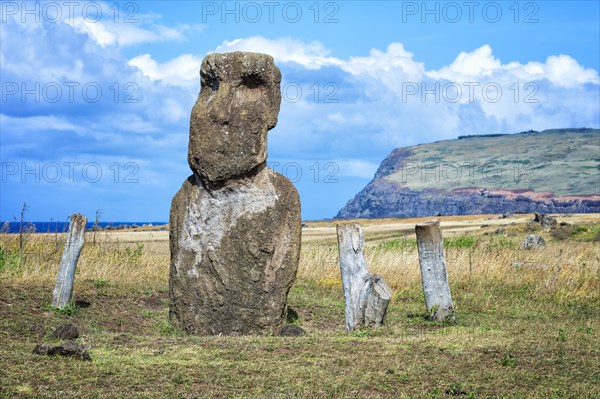 Vaihu Moai