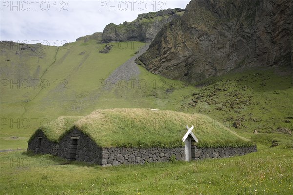 Houses with grass roofs