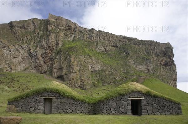 Houses with grass roofs