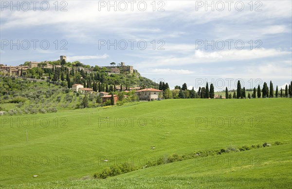 View of Monticchiello