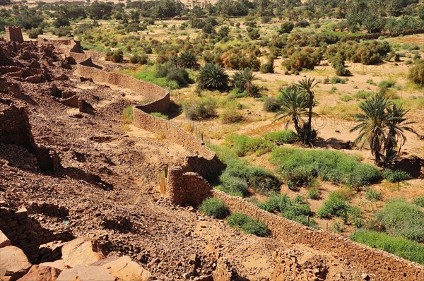 Ruins of the fortified trading post or Ksar with ramparts and oasis