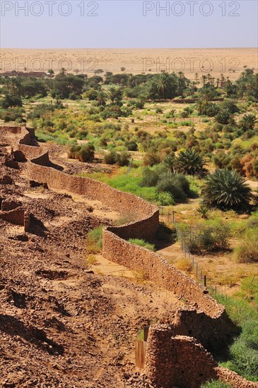 Ruins of the fortified trading post or Ksar with ramparts and oasis