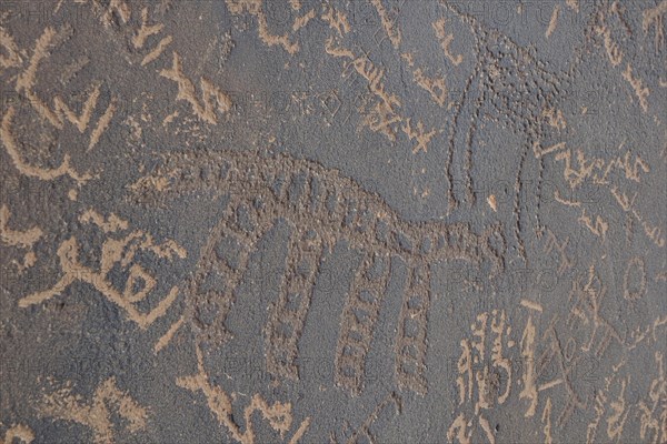 Stone Age petroglyphs and new graffiti in Arabic script