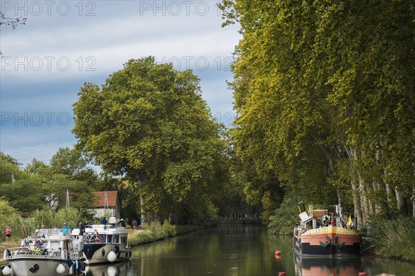 Houseboats moored on the Canal du Midi