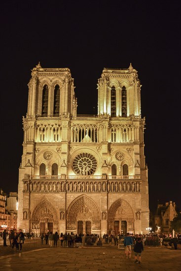 Notre Dame at night