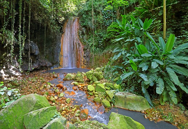 Diamond Waterfall in the Botanical Garden with tropical vegetation