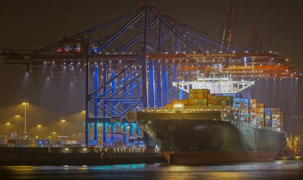 Container ship in the container terminal