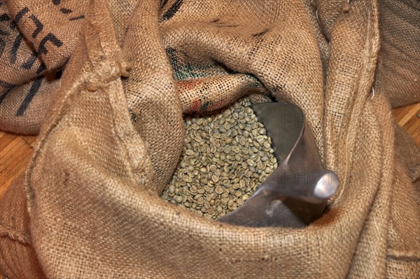 Unroasted coffee beans in bag