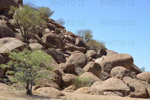 Round rocks