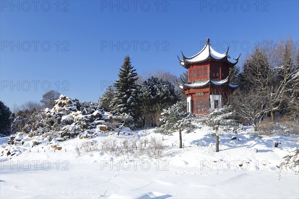 Chinese pavilion in snow at the botanical garden