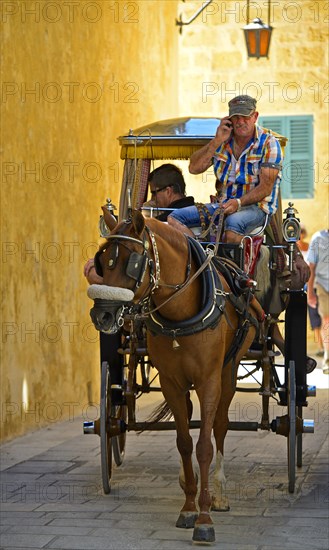 Horse and cart with tourists in the narrow streets of Mdina