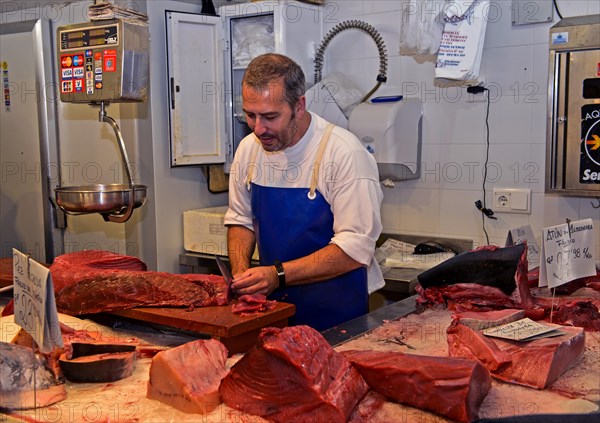 Fishmonger at fish market