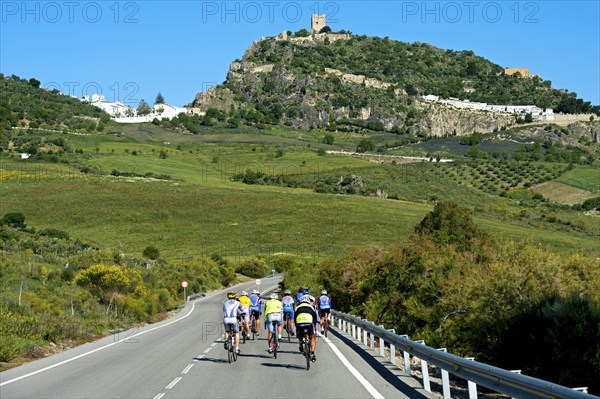 Cyclists on country road