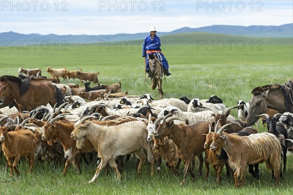 Mongolian nomad on horse