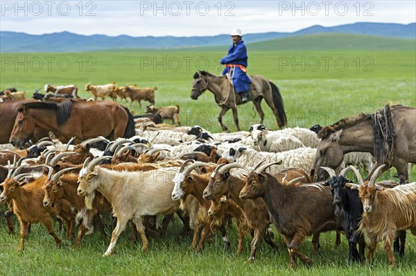 Mongolian nomad on horse