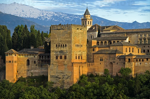 Evening light on the Alhambra