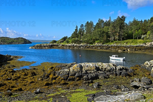 Bay Loch an Eisg-Brachaidh