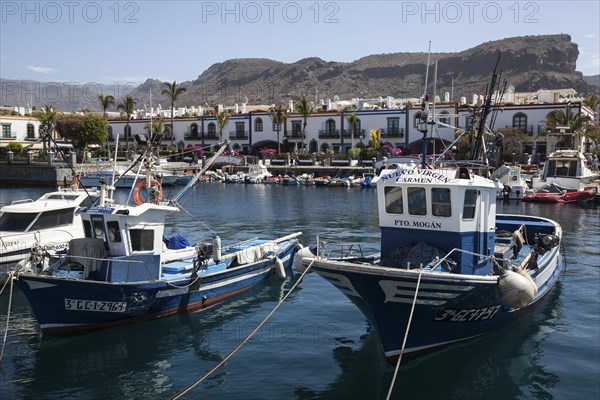 Fishing boats in the harbour