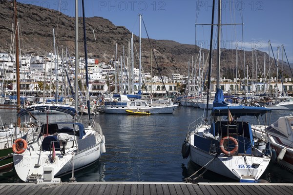 Yachts in the marina