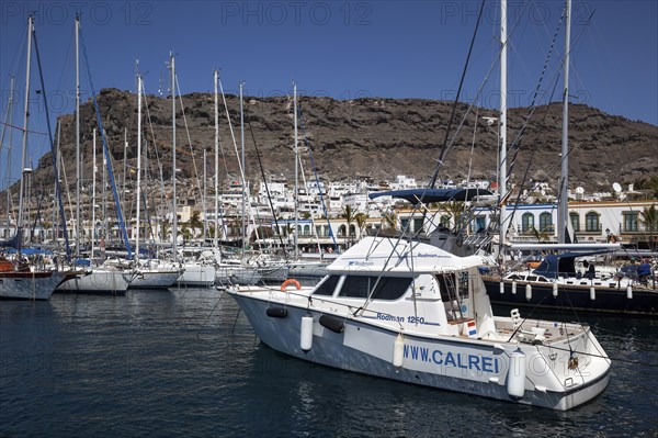 Yachts in the marina