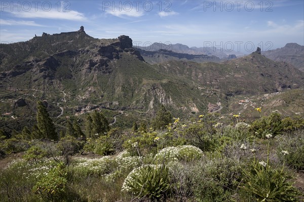 View from Cruz de Tejeda to the mountains