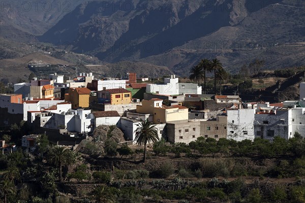 View of part of San Bartolome de Tirajana