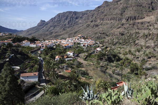 View of Fataga