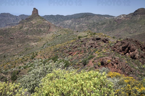 View from Cruz de Timagada towards Roque Bentayga