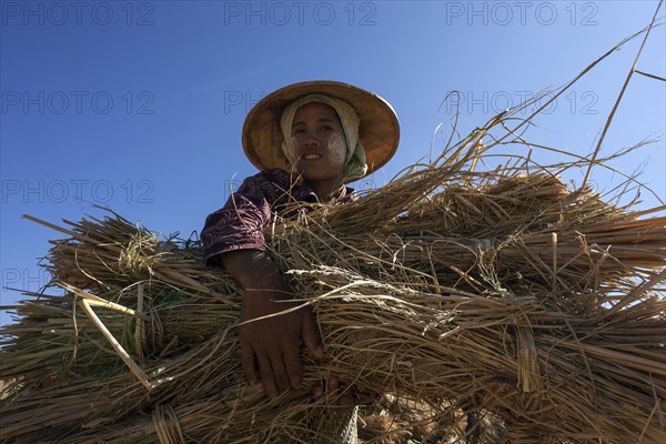 Local woman from the tribe of the Poa with a bundle of rice straw