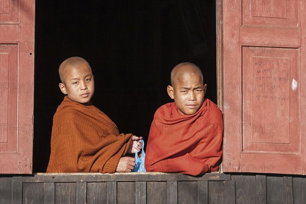 Novices looking out of a window