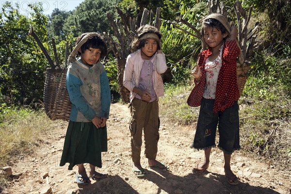 Girls from Palaung tribe carrying firewood