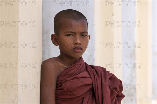 Young monk