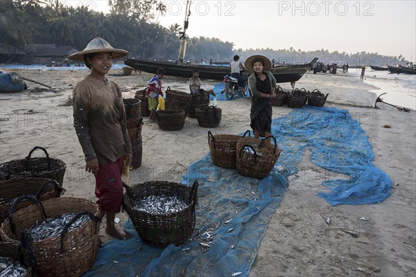 Native people standing around baskets of freshly caught fish on the beach of the fishing village Ngapali