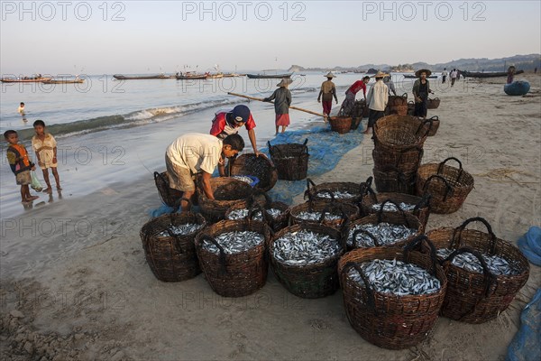 Native people standing around baskets of freshly caught fish on the beach of the fishing village Ngapali