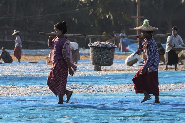 Local women carrying a basket full of fish with a bamboo pole