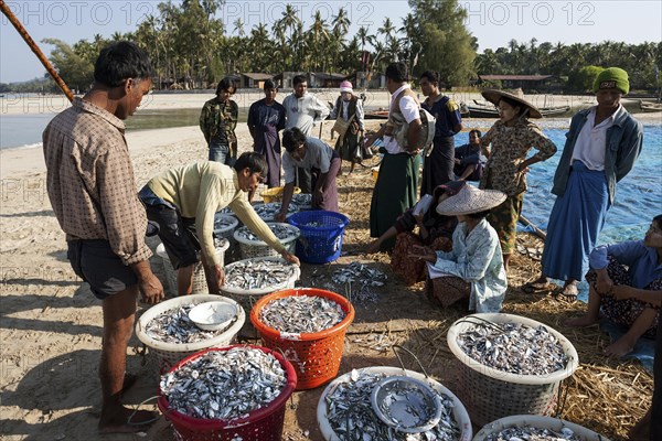 Native people standing around baskets of freshly caught fish on the beach of the fishing village Ngapali