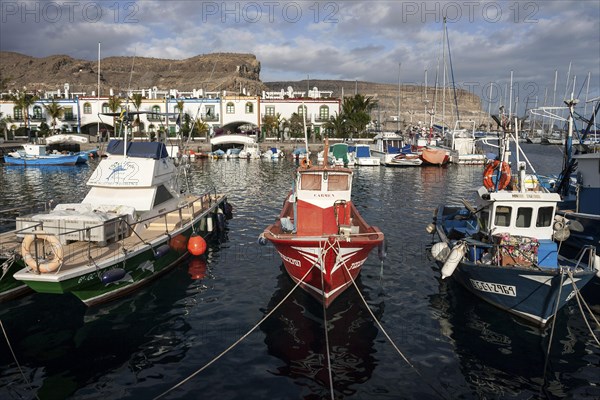 Fishing boats in the harbor