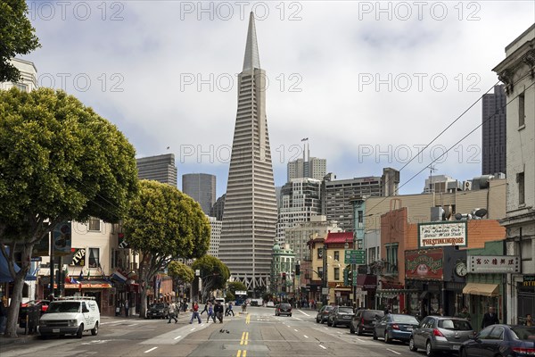 Transamerica Pyramid seen from Columbus Avenue