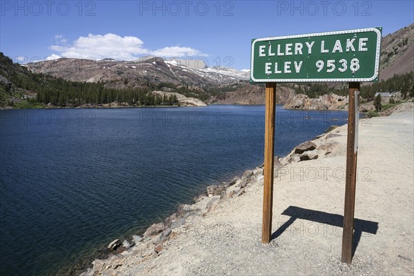 Ellery Lake at Tioga Road