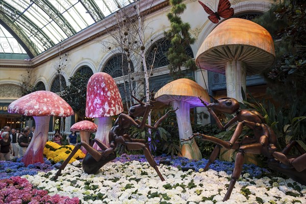 Exhibits in botanical garden conservatory