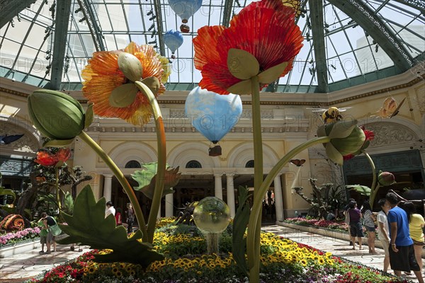 Exhibits in botanical garden conservatory