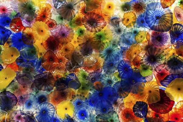 Colourful hand blown glass flowers