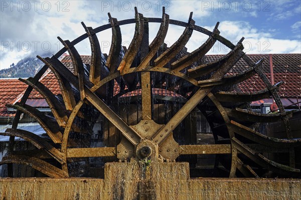 Water wheel in the Ostrich stream