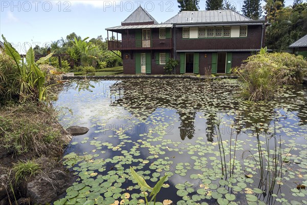 Water lily pond in the Conservatoire Botanique National de Mascarin