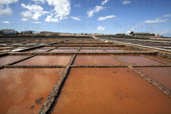 Salinas del Carmen salinse