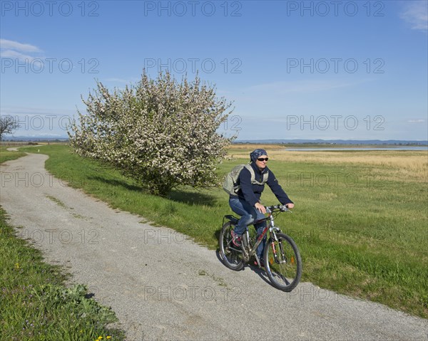 Cyclist at Lange Lacke