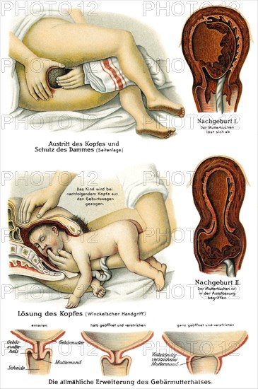 Obstetrics