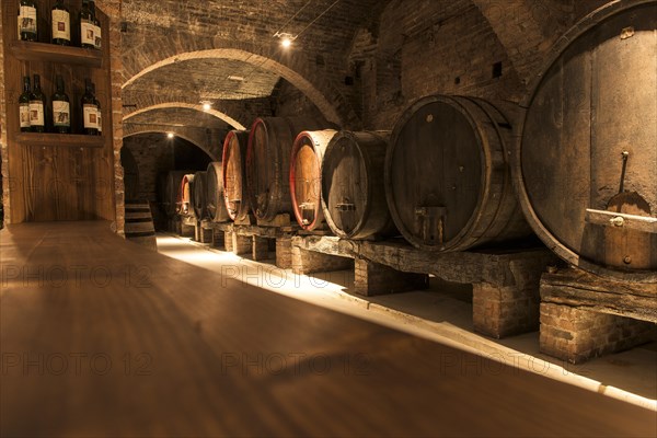 Wine cellar with old wooden barrels