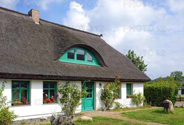 Thatched house